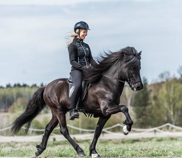Thor från Järsta by Johanna Vaurio_Teräväinen.jpeg