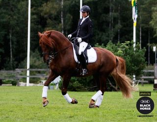 Siitosori Corleone.jpg